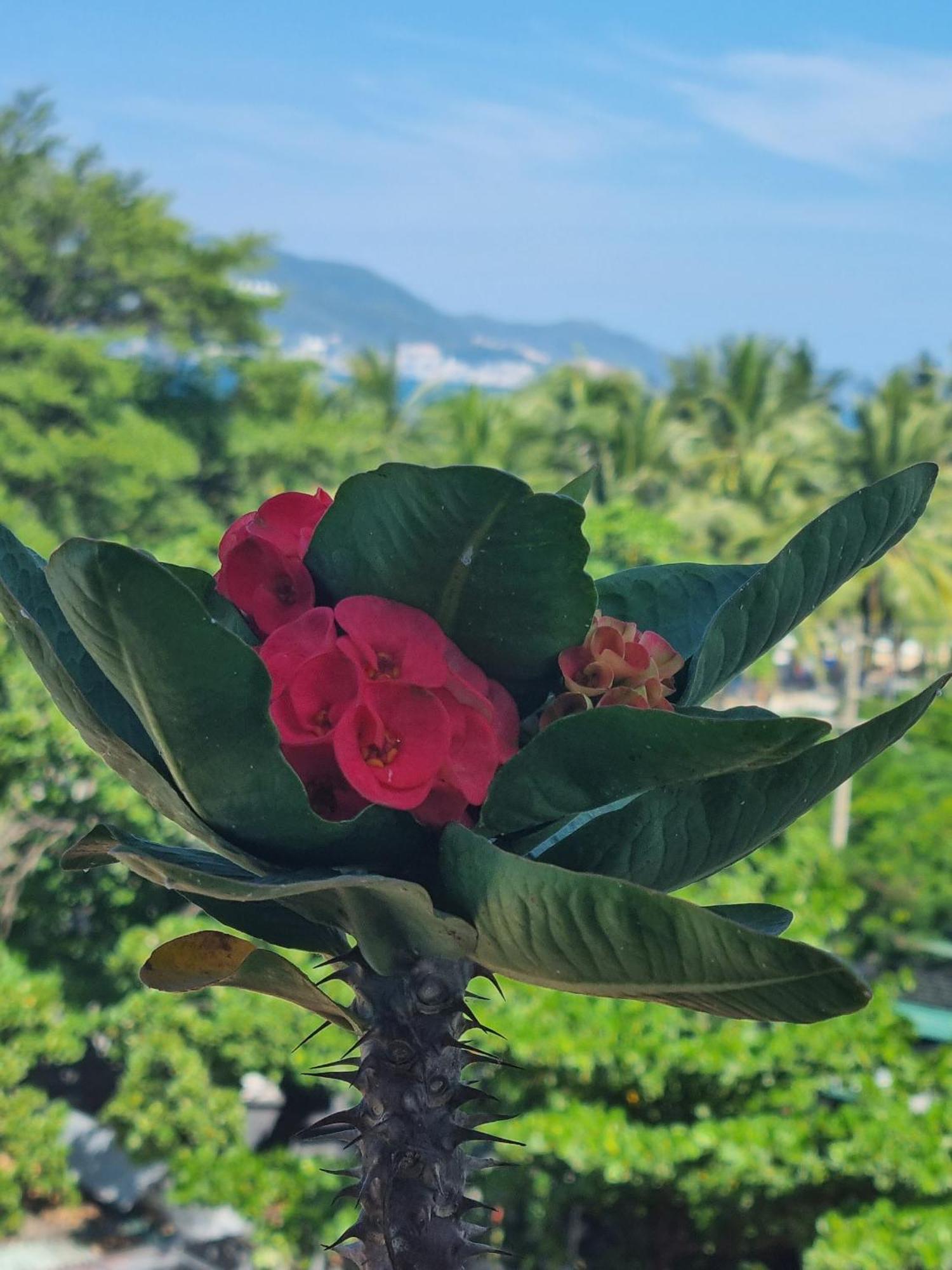 Pho Bien Hotel Nha Trang Luaran gambar
