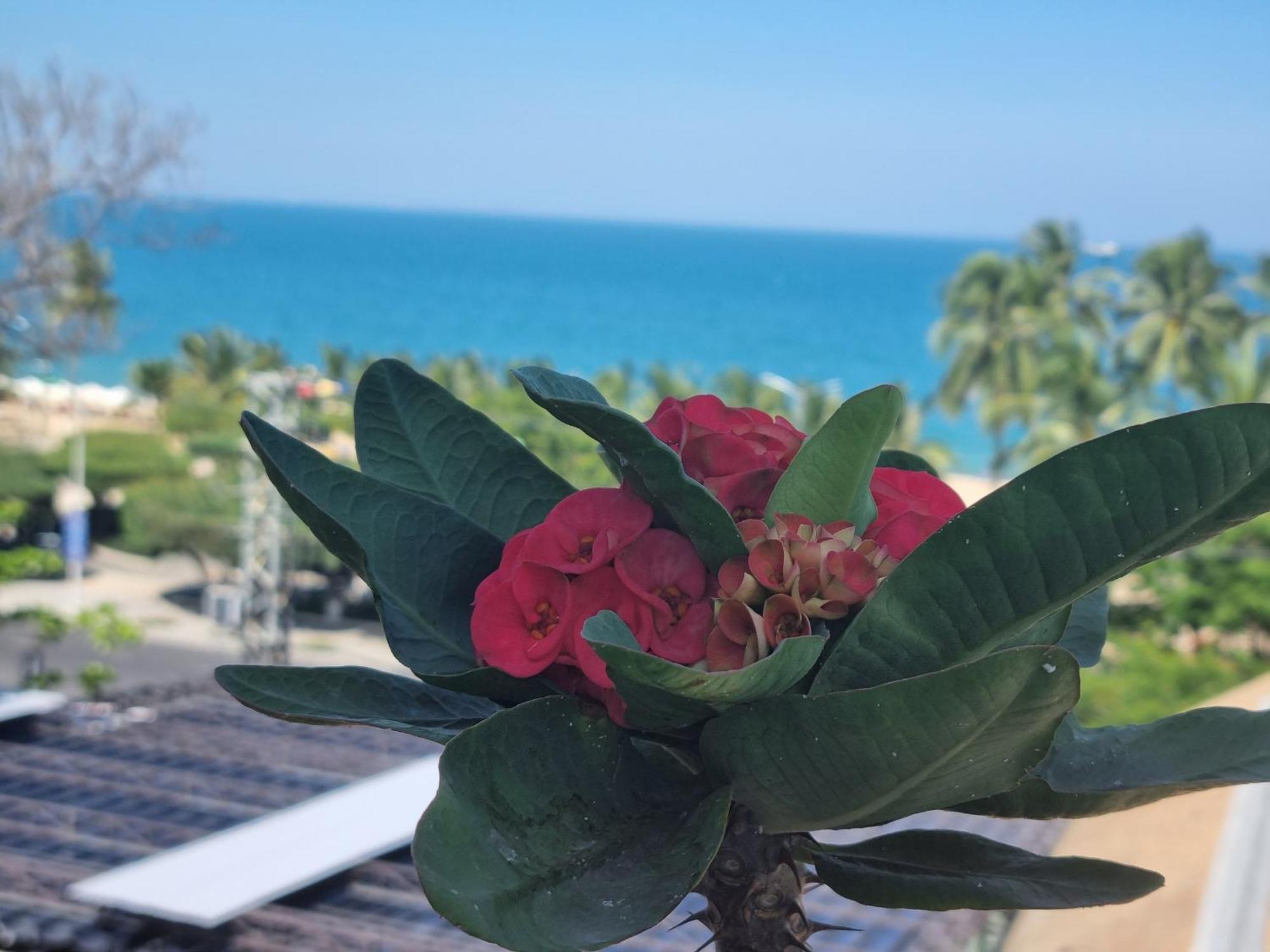 Pho Bien Hotel Nha Trang Luaran gambar